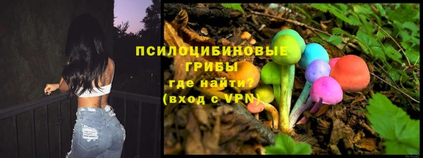 ГАЛЛЮЦИНОГЕННЫЕ ГРИБЫ Нягань